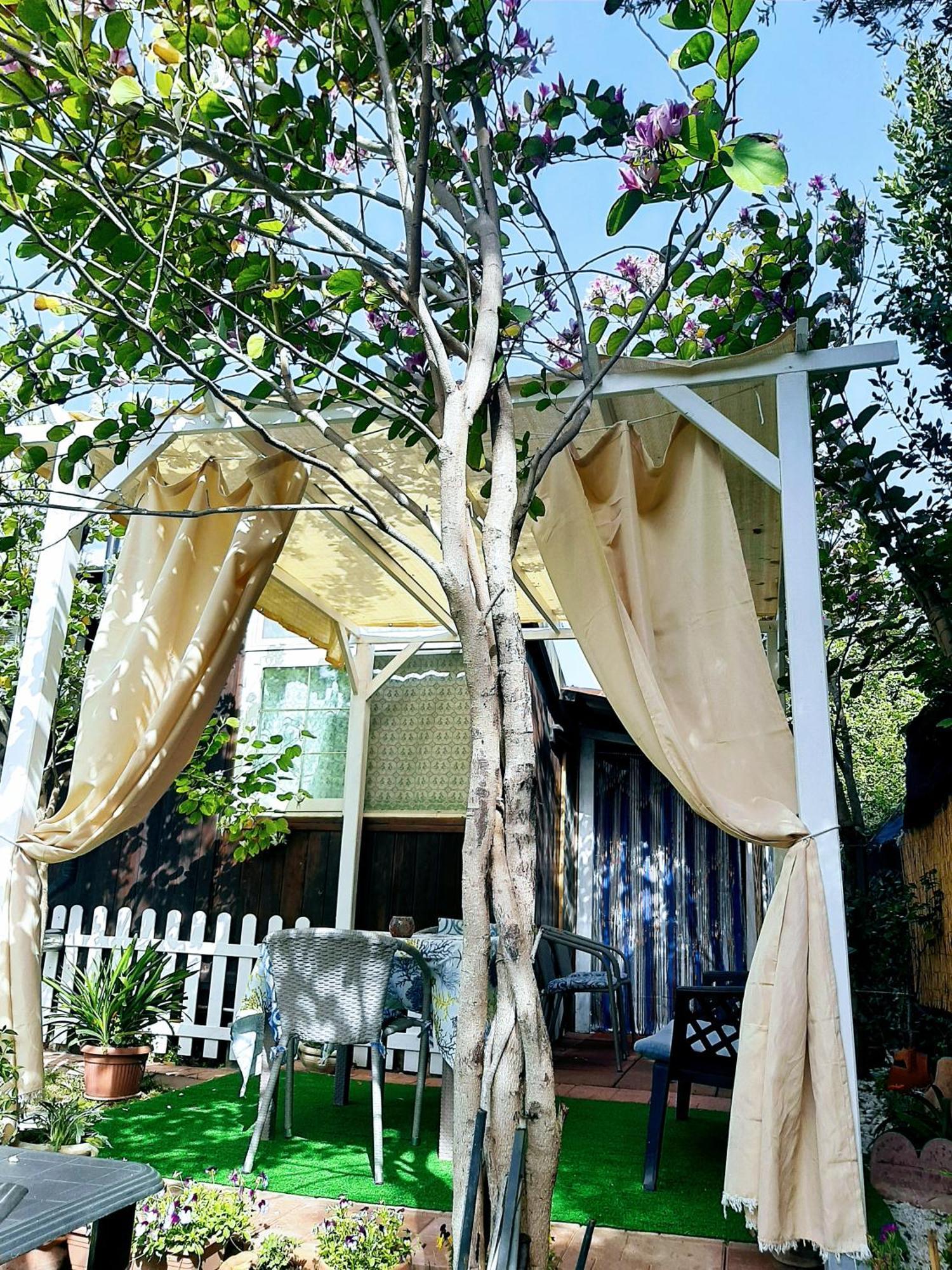 Bed and Breakfast Tom E Jerry à Domus De Maria Extérieur photo